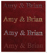 book-6-scr