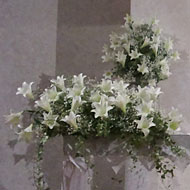 flor-14