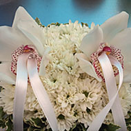 flor-16