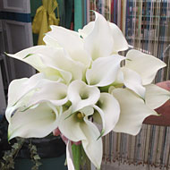 flor-2