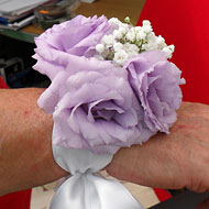 flor-7