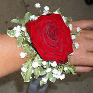 flor-9