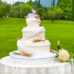 Weddingcake 8