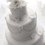 Weddingcake 14